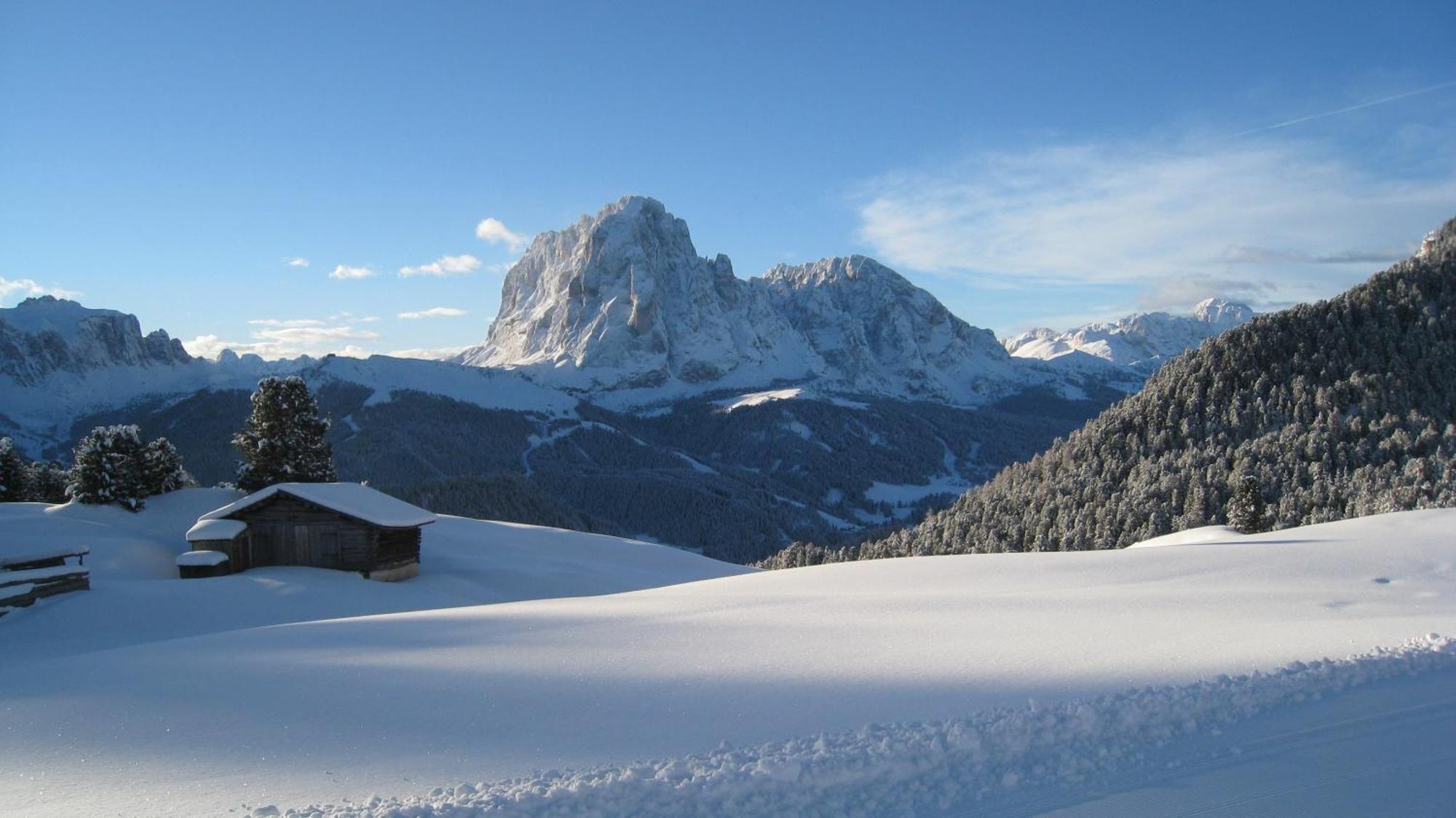 Apartments Dolomie Ortisei Eksteriør billede