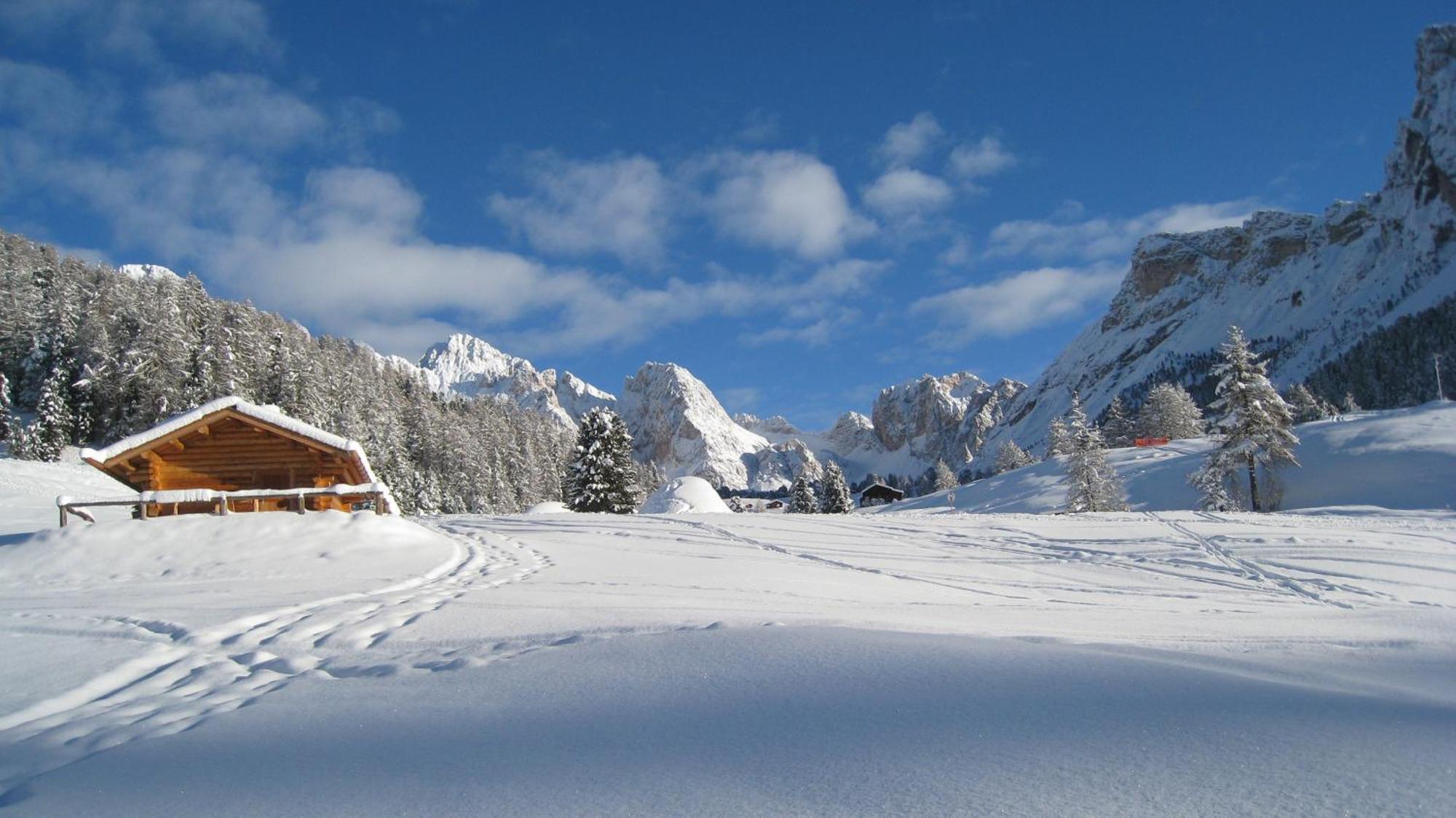 Apartments Dolomie Ortisei Eksteriør billede